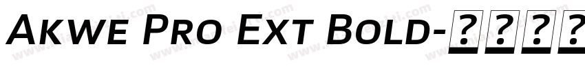 Akwe Pro Ext Bold字体转换